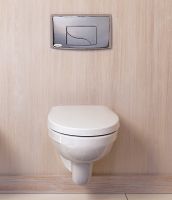 Унитаз Jacob Delafon Patio E4187-00 подвесной без сиденья — фото 8, Подвесные унитазы