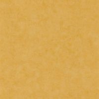 Товар: Обои Caselio Beton 101482000 Винил на флизелине (0,53*10,05) Желтый, Штукатурка - фото 1 Обои Caselio Beton 101482000 Винил на флизелине (0,53*10,05) Желтый, Штукатурка — фото 1, Обои для стен