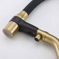 Смеситель для кухни Gappo G4398-83 Золотой сатин Черный — фото 11, Смесители для кухни