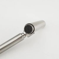 Товар: Смеситель для кухни Frap H899 F44899 Сатин - фото 4 Смеситель для кухни Frap H899 F44899 Сатин — фото 4, Смесители