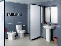 Товар: Унитаз компакт Roca Dama Senso Compacto 342518000 без бачка и сиденья - фото 7 Унитаз компакт Roca Dama Senso Compacto 342518000 без бачка и сиденья — фото 7, Унитазы