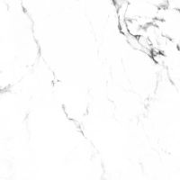 Товар: Керамогранит Arcadia Ceramica Borghini silver CR4006-A 60х60 см - фото 14 Керамогранит Arcadia Ceramica Borghini silver CR4006-A 60х60 см — фото 14, Керамогранит