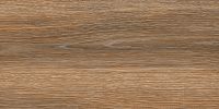 Товар: Керамогранит Lasselsberger Ceramics Винтаж Вуд коричневый 6260-0021 30x60,3 см - фото 2 Керамогранит Lasselsberger Ceramics Винтаж Вуд коричневый 6260-0021 30x60,3 см — фото 2, Керамогранит