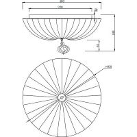 Потолочный светильник Maytoni Ceiling Wall Sienna C216-CL-03-N Прозрачный Хром — фото 3, Светильники