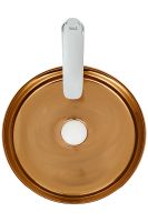 Раковина-чаша WeltWasser Elbach 3134 LSWG 35 10000004540 Белая Золотистая — фото 2, Раковины