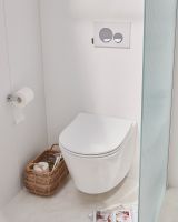 Унитаз Jacob Delafon Bastille EDAB102-00 подвесной без сиденья — фото 8, Подвесные унитазы