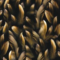 Фреска Ortograf Levity 33362 Фактура бархат FX Флизелин (2,7*2,7) Черный/Золото, Перья — фото 2, Фрески