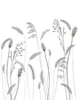 Панно Marburg Crush Motion 63459 Винил на флизелине (2,1*2,7) Белый/Серый, Листья — фото 2, Обои для стен