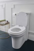 Товар: Унитаз компакт Jacob Delafon Cleo 1889 UJAC102-0 без бачка и сиденья - фото 3 Унитаз компакт Jacob Delafon Cleo 1889 UJAC102-0 без бачка и сиденья — фото 3, Напольные унитазы