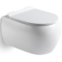 Унитаз Black&White Universe 727W00 подвесной сиденьем Микролифт — фото 1, Унитазы