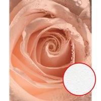 Фреска Ortograf Цветы 30426 Фактура бархат FX Флизелин (2,2*2,7) Розовый, Цветы — фото 1, Фрески