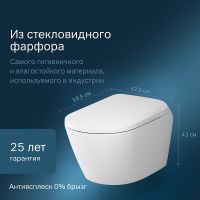 Унитаз-биде AM.PM Sensation CCC301700SC подвесной с сиденьем Микролифт — фото 3, Унитазы