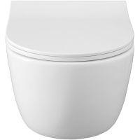 Товар: Унитаз Allen Brau Priority 4.31001.20 подвесной без сиденья - фото 4 Унитаз Allen Brau Priority 4.31001.20 подвесной без сиденья — фото 4, Подвесные унитазы