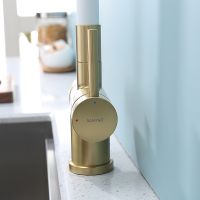 Смеситель для кухни Splenka S70.64.03 Золото матовое Белый — фото 4, Смесители для кухни