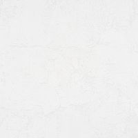 Товар: Обои Артекс The Best 3 10646-01 Винил на флизелине (1,06*10,05) Белый, Штукатурка - фото 1 Обои Артекс The Best 3 10646-01 Винил на флизелине (1,06*10,05) Белый, Штукатурка — фото 1, Обои для стен