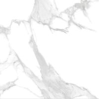 Керамогранит Polo Gres Statuario Crone PRO 0032G 60x60 см — фото 1, Керамогранит