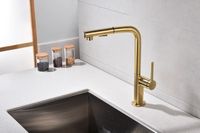 Смеситель для кухни Paulmark Neo Ne214419-BG Брашированное золото — фото 2, Смесители для кухни