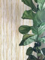 Обои Wiganford by Solo Lunman ER8610 Винил на флизелине (1,06*10,05) Бежевый/Серый/Золото, Под дерево — фото 2, Обои для стен