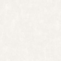 Обои Grandeco Universe 5 VR 1101 Винил на флизелине (1,06*10,05) Белый, Однотонный/Штукатурка — фото 1, Обои для стен