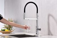 Смеситель для кухни Paulmark Tornado To213402-CR Хром Черный — фото 2, Смесители для кухни