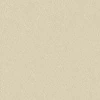 Обои Bernardo Bartalucci Ragazza 5042-2 Флизелин (1,06*10,05) Бежевый, Однотонные — фото 1, Обои для стен