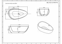 Акриловая ванна Black&White Swan SB 227 170x95 227SB00 без гидромассажа — фото 8, Ванны