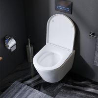 Комплект унитаза с инсталляцией AM.PM Sense FlashClean IS100138.741701 с сиденьем Микролифт и Черной матовой клавишей смыва — фото 16, Комплекты унитаз + инсталляция