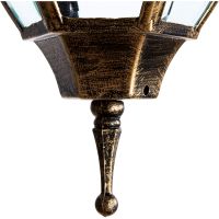 Настенный светильник Artelamp Pegasus A3152AL-1BN Прозрачный Черный с золотом — фото 3, Уличное освещение