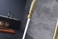 Смеситель для кухни Paulmark Galant Ga213077-SBG Светлое брашированное золото — фото 5, Смесители для кухни