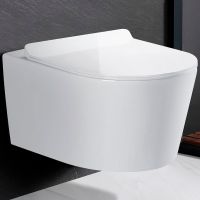 Унитаз Royce Voodoo RCT-143105WH подвесной с сиденьем Микролифт — фото 1, Унитазы