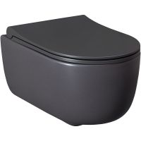 Унитаз Allen Brau Priority 4.31002.AN подвесной Антрацит без сиденья — фото 1, Подвесные унитазы