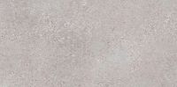 Керамогранит Lasselsberger Ceramics Трэверс светло-серый 6260-0191 30х60 см — фото 7, Керамогранит