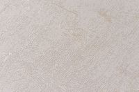 Обои Артекс Dieter Lange Avenue 10670-03 Винил на флизелине (1,06*10,05) Бежевый, Штукатурка — фото 4, Обои для стен