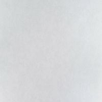 Товар: Обои Артекс New Look 5 10631-05 Винил на флизелине (1,06*10,05) Серый, Штукатурка - фото 1 Обои Артекс New Look 5 10631-05 Винил на флизелине (1,06*10,05) Серый, Штукатурка — фото 1, Обои для стен