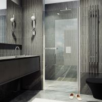 Душевая дверь Maybah Glass MGD-448-5 900x1980 на монопетле Хром матовый стекло прозрачное — фото 1, Душевые двери в нишу