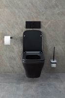 Товар: Унитаз Allen Brau Infinity 4.21011.31 подвесной Черный матовый без сиденья - фото 58 Унитаз Allen Brau Infinity 4.21011.31 подвесной Черный матовый без сиденья — фото 58, Подвесные унитазы