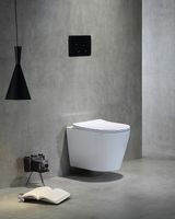 Унитаз SantiLine SL-5025 подвесной Белый с сиденьем Микролифт — фото 2, Подвесные унитазы