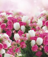 Фреска Ortograf Цветы 30430 Фактура бархат FX Флизелин (2,3*2,7) Белый/Зеленый/Розовый, Цветы — фото 2, Фрески