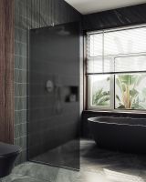 Душевая перегородка Maybah Glass MGD-694-5у 890x1950 в узком профиле Хром матовый стекло графитовое матовое — фото 2, Душевые перегородки