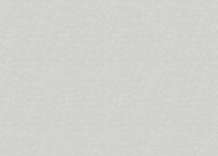 Обои Marburg Style 91152 Винил на флизелине (1,06*10,05) Серый, Штукатурка — фото 2, Обои для стен