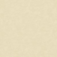 Обои Bernardo Bartalucci Gabriella 84134-8 Винил на флизелине (1,06*10,05) Бежевый, Штукатурка — фото 1, Обои для стен