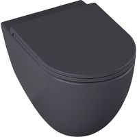 Унитаз Allen Brau Reality 4.32006.AN подвесной Антрацит без сиденья — фото 1, Подвесные унитазы