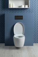 Товар: Унитаз Aquanet ZV-1 303977 подвесной с сиденьем Микролифт - фото 26 Унитаз Aquanet ZV-1 303977 подвесной с сиденьем Микролифт — фото 26, Подвесные унитазы