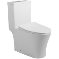 Унитаз моноблок Royce Force RCT-111304WH с сиденьем Микролифт — фото 1, Унитазы