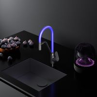 Смеситель для кухни AM.PM Like F8007827 Черный матовый Синий — фото 11, Смесители для кухни