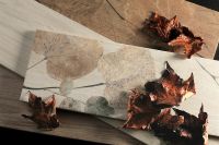 Товар: Керамогранит Del Conca Foreste D`Italia FI9 Foliage Noce 20х80 см - фото 3 Керамогранит Del Conca Foreste D`Italia FI9 Foliage Noce 20х80 см — фото 3, Керамогранит