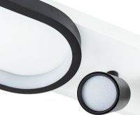 Потолочный светильник Artelamp Lucas A2600PL-32BK Черный Белый — фото 3, Светильники