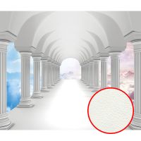 Фреска Ortograf 3D 33210 Фактура флок FLK Флизелин (3,2*2,7) Белый, Архитектура/Абстракция — фото 1, Фрески