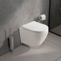 Унитаз Olive's Plaza PL30116DP подвесной с сиденьем Микролифт — фото 2, Подвесные унитазы