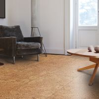 Пробковое покрытие Amorim Wise Cork Pure AJ9Z002 Originals Accent 600х300х6 мм — фото 3, Пробковые покрытия